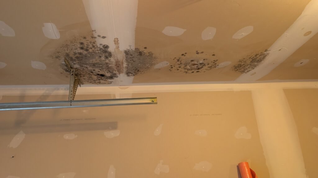 PXL_20251027_143914386.MP (1)