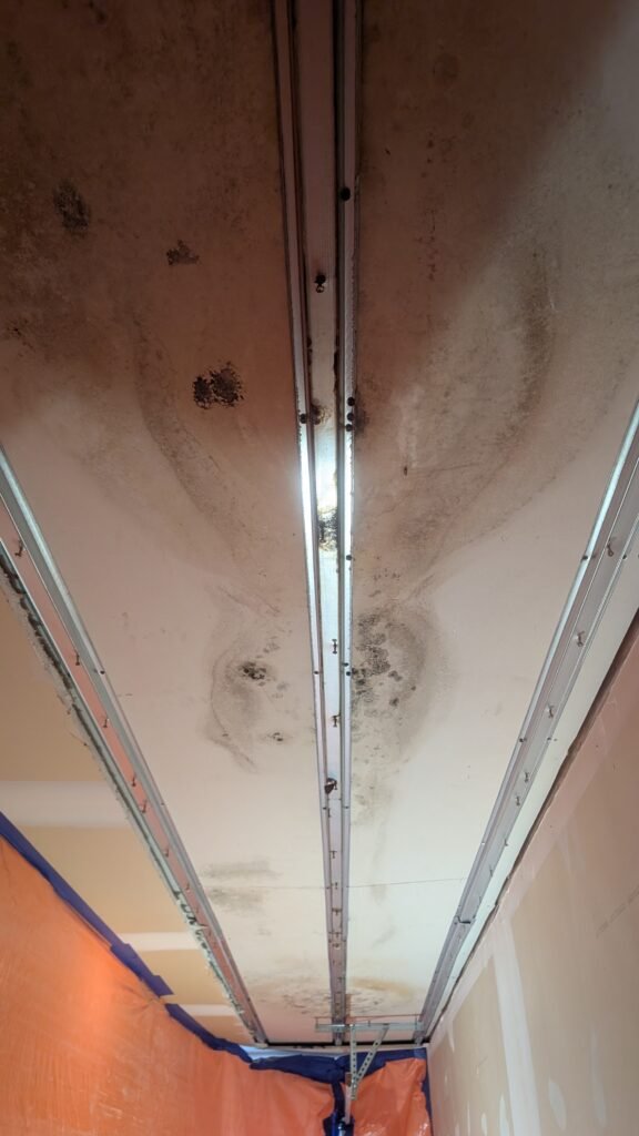 PXL_20251027_175015746.MP (1)