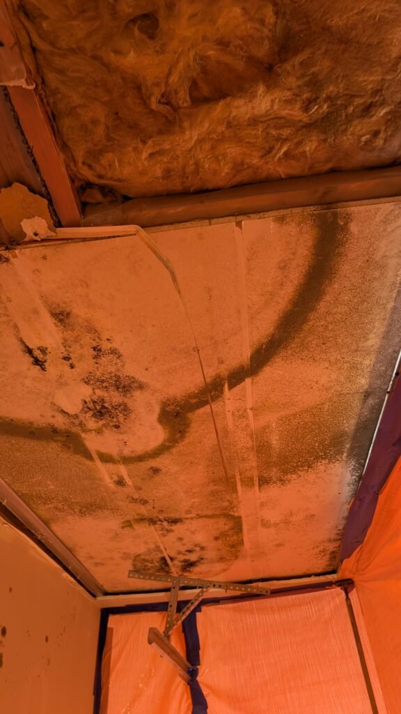 PXL_20251030_192929261.MP