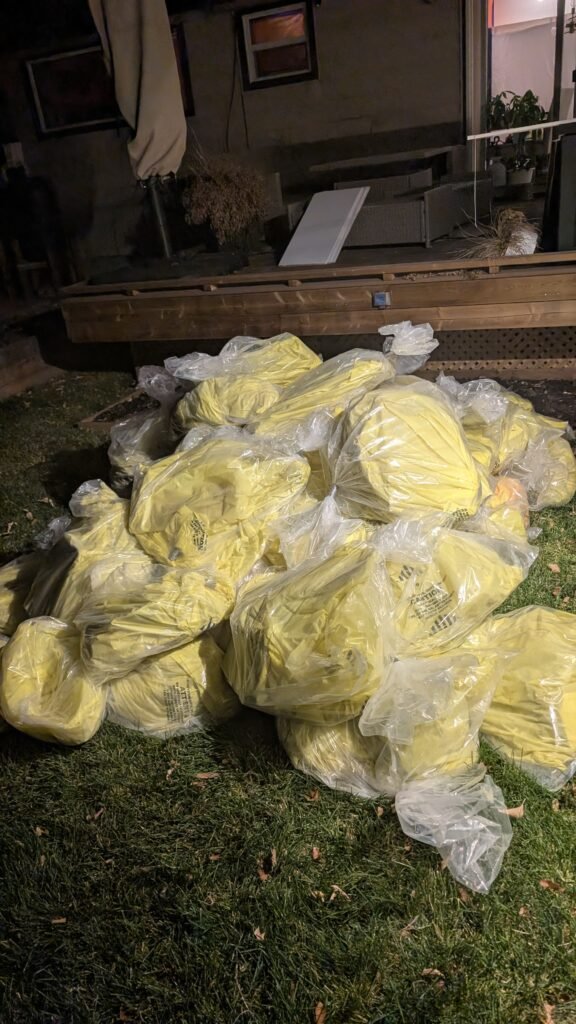 PXL_20251113_023714197