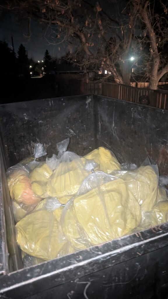 PXL_20251113_024722716 (1)