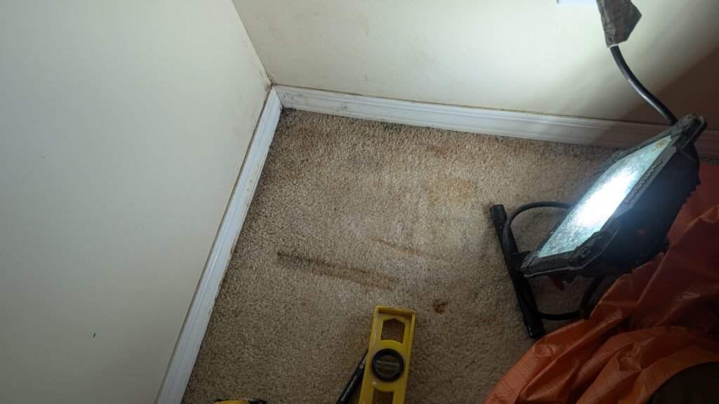 PXL_20251114_204016566.MP (1)