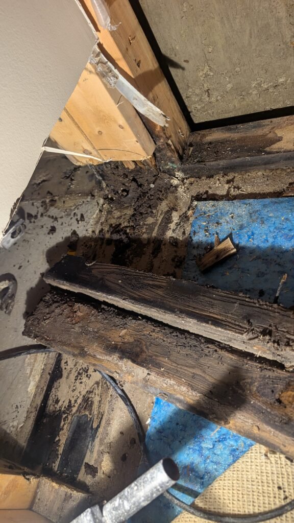 PXL_20251114_211935165.MP (1)